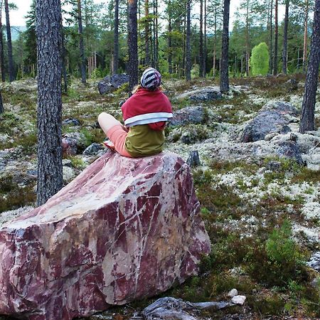 16 - Fulufjellets Nasjonalparker - Natur-, Dyre- Og Fugleopplevelser Ljørdal Eksteriør billede