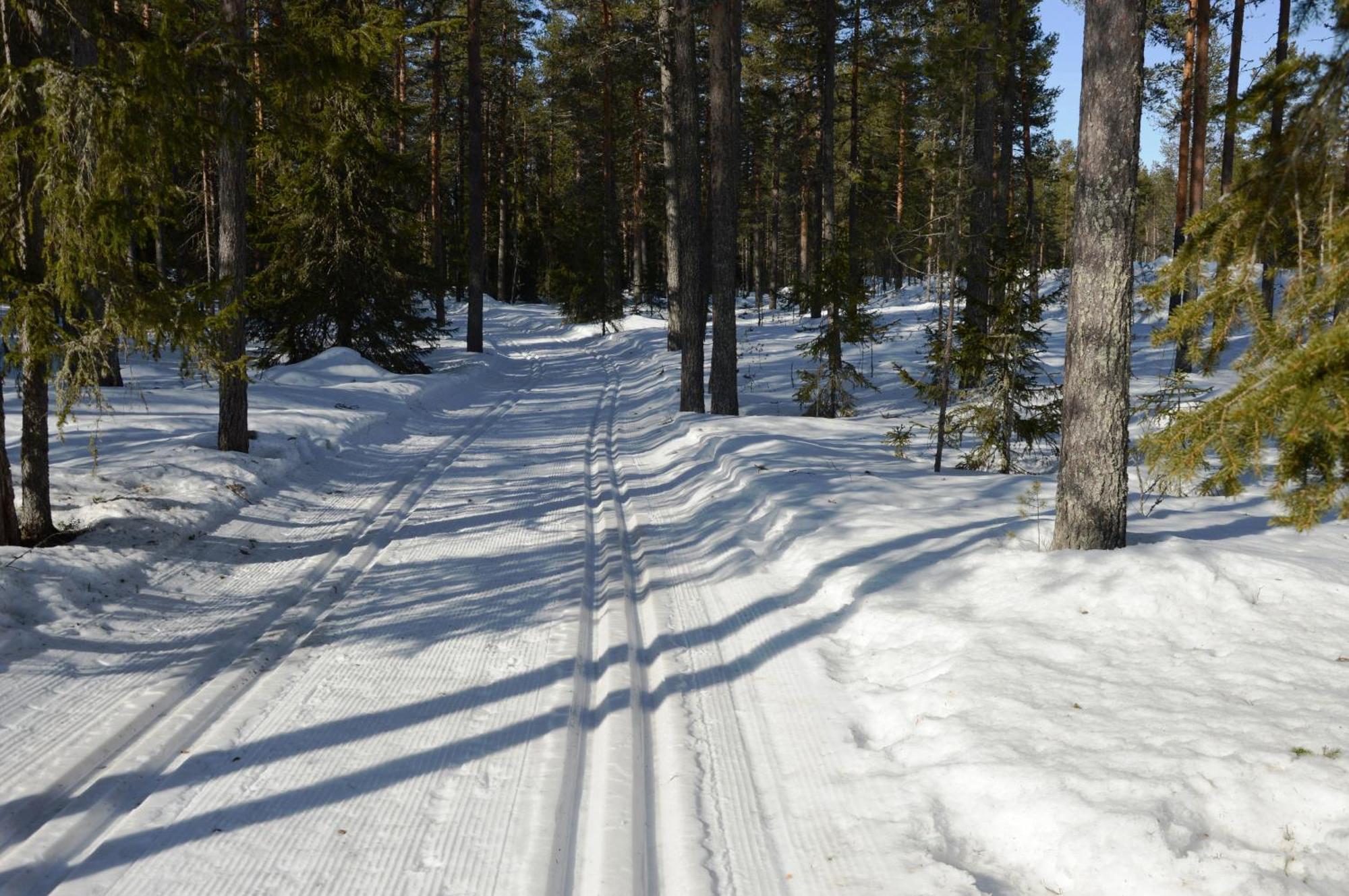 16 - Fulufjellets Nasjonalparker - Natur-, Dyre- Og Fugleopplevelser Ljørdal Eksteriør billede