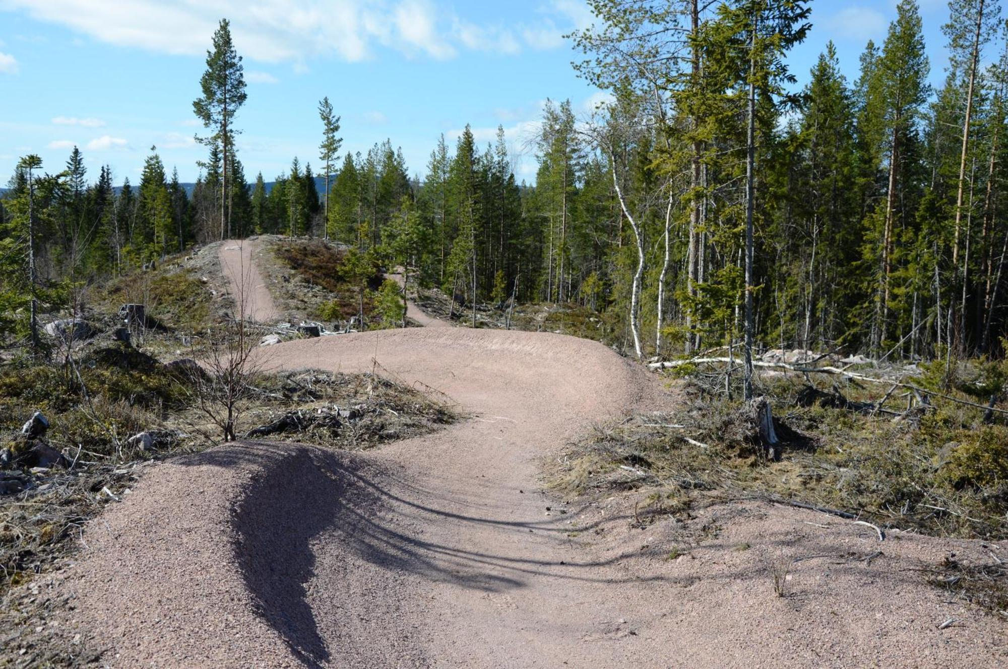 16 - Fulufjellets Nasjonalparker - Natur-, Dyre- Og Fugleopplevelser Ljørdal Eksteriør billede