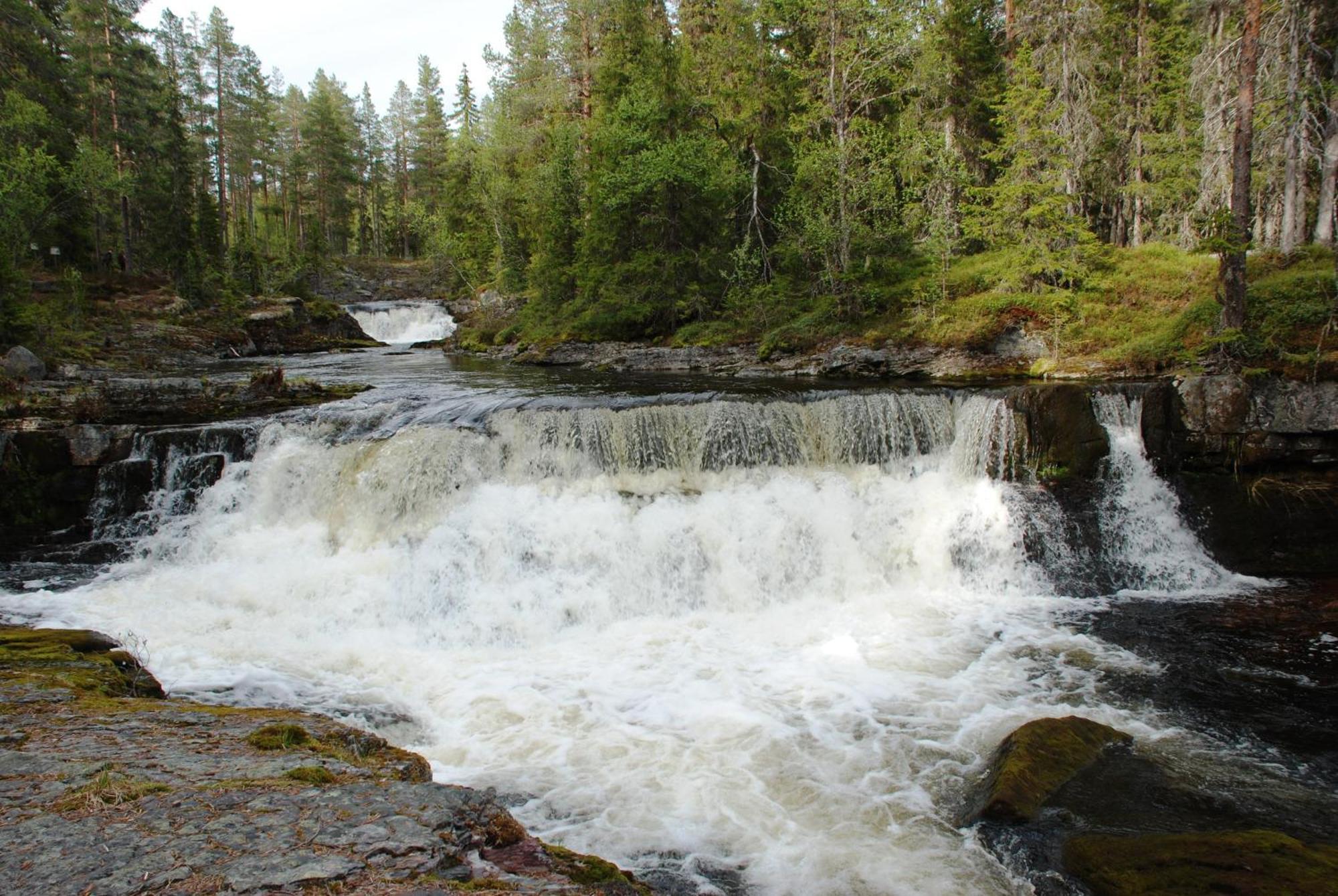 16 - Fulufjellets Nasjonalparker - Natur-, Dyre- Og Fugleopplevelser Ljørdal Eksteriør billede